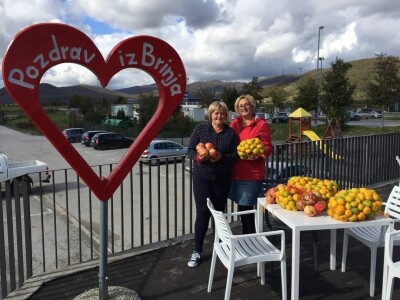 Putujuće lubenice i mandarine iz zlatne doline