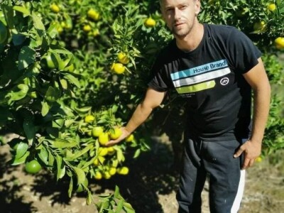 Putujuće lubenice i mandarine iz zlatne doline