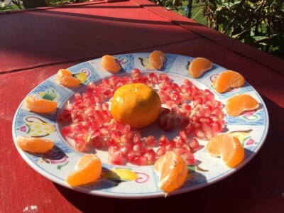 Putujuće lubenice i mandarine iz zlatne doline