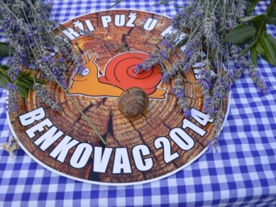 Lanjski šampion Lanjski šampion