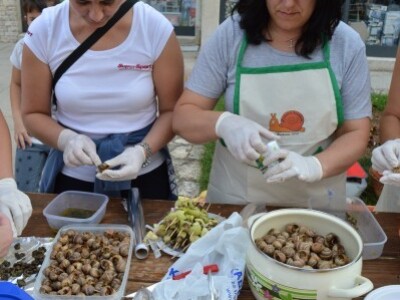 Pužijada i utrka puževa u Benkovcu Pužijada i utrka puževa u Benkovcu