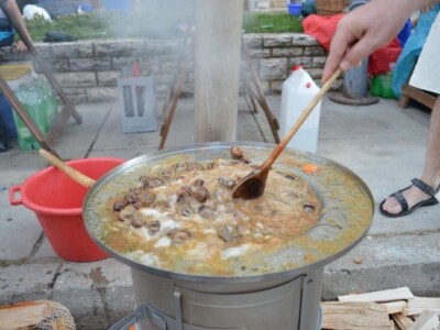 Pužijada i utrka puževa u Benkovcu Pužijada i utrka puževa u Benkovcu