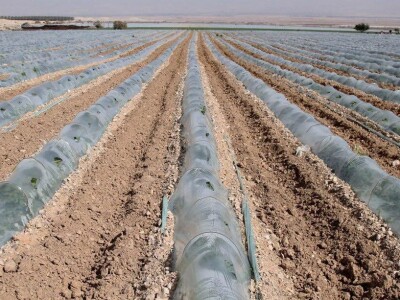 PVC Troplex - PVC stupovi za povrće, električne pastire i ograde