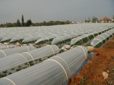 PVC Troplex - PVC stupovi za povrće, električne pastire i ograde