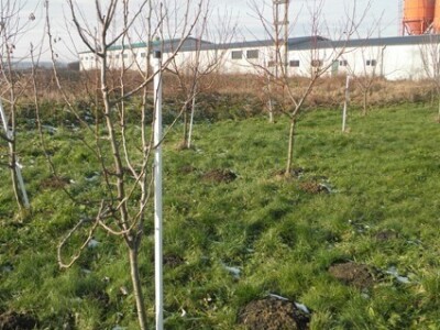 PVC Troplex - PVC stupovi za povrće, električne pastire i ograde