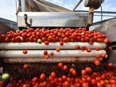 Udruga Črleno srce u Prelogu je organizirala prvu konferenciju Veg&Fruit