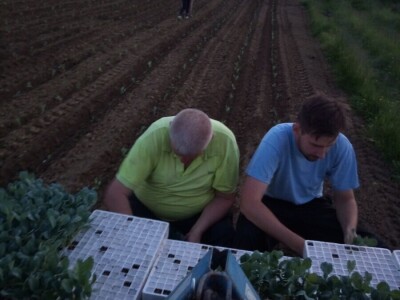 PZ Dubrava PZ Dubrava