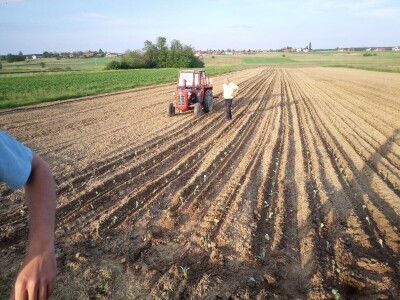 PZ Dubrava PZ Dubrava