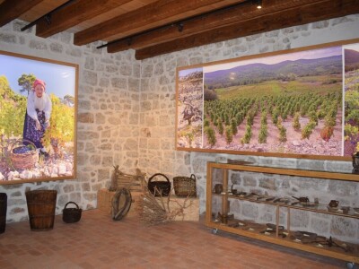 PZ Putniković - Muzej vinogradarstva i vinarstva