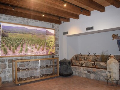 PZ Putniković - Muzej vinogradarstva i vinarstva