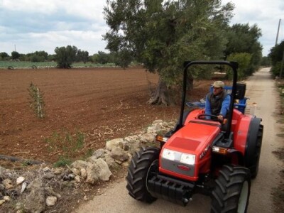 Traktor Goldoni Quasar