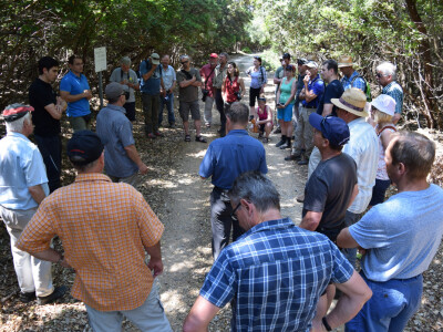 INTERVJU: Oliver Vlainić, predsjednik Hrvatskoga šumarskog društva