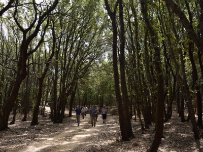 INTERVJU: Oliver Vlainić, predsjednik Hrvatskoga šumarskog društva