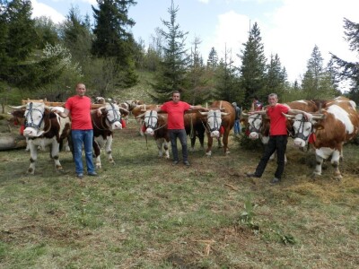 Rabadžije Rabadžije