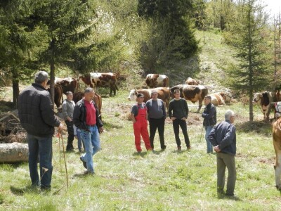 Rabadžije Rabadžije