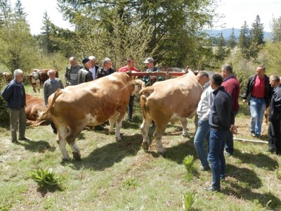 Rabadžije Rabadžije