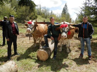 Rabadžije Rabadžije