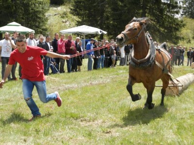 Rabadžije Rabadžije