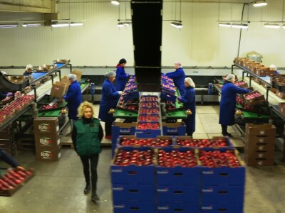 Rabo d.o.o. postaje članicom Mészáros Grupacije Rabo d.o.o. postaje članicom Mészáros Grupacije