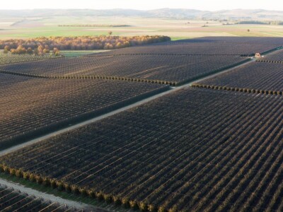 Rabo d.o.o. postaje članicom Mészáros Grupacije Rabo d.o.o. postaje članicom Mészáros Grupacije