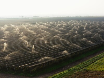 Rabo d.o.o. postaje članicom Mészáros Grupacije Rabo d.o.o. postaje članicom Mészáros Grupacije