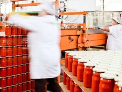 Prerada domaćeg povrća