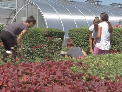 Rad na ekonomiji, deo stručne prakse za učenike Poljoprivredne škole u Valjevu