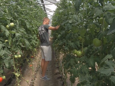 Rad na ekonomiji, deo stručne prakse za učenike Poljoprivredne škole u Valjevu