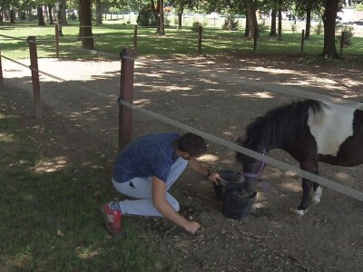 Rad na ekonomiji, deo stručne prakse za učenike Poljoprivredne škole u Valjevu