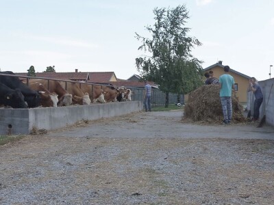 Rad na ekonomiji, deo stručne prakse za učenike Poljoprivredne škole u Valjevu