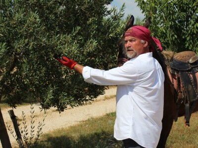 Rade Bobanović agrarne novinare dočekao na konju