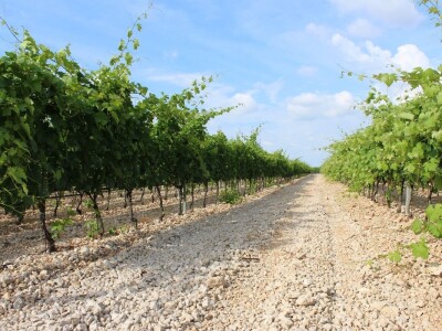 Rade Bobanović agrarne novinare dočekao na konju