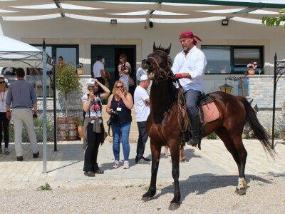 Rade Bobanović agrarne novinare dočekao na konju