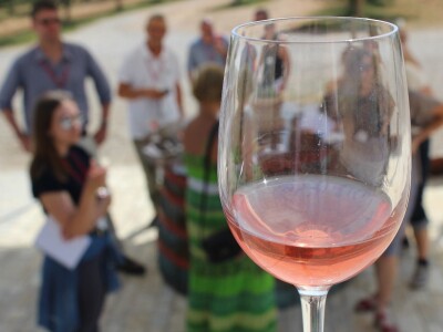 Rade Bobanović agrarne novinare dočekao na konju