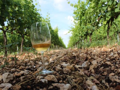 Rade Bobanović agrarne novinare dočekao na konju