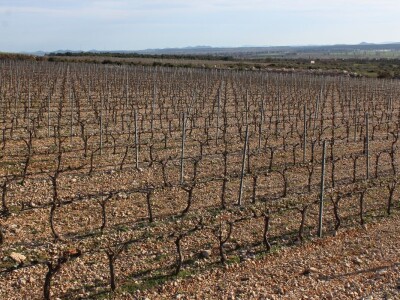 Rade Bobanović, Masvin