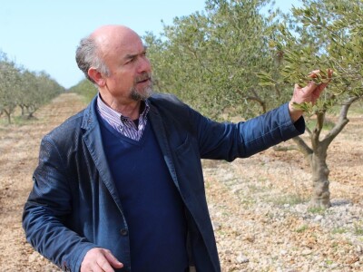 Rade Bobanović, Masvin