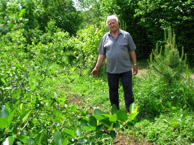 Rade Gabrić Rade Gabrić