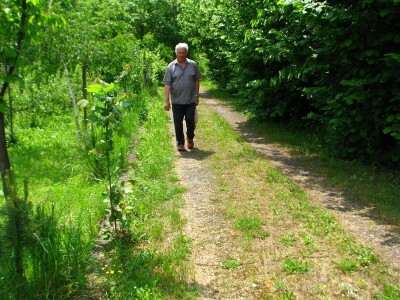Rade Gabrić Rade Gabrić