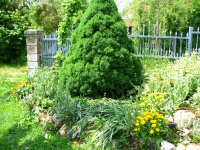 Rade Gabrić Rade Gabrić