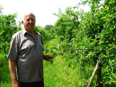 Rade Gabrić Rade Gabrić