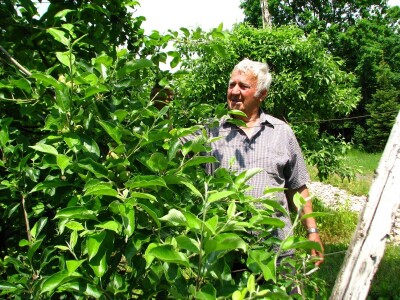 Rade Gabrić Rade Gabrić