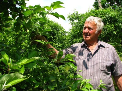 Rade Gabrić Rade Gabrić