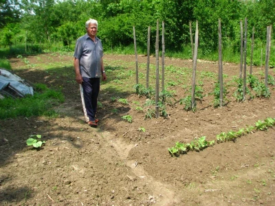 Rade Gabrić