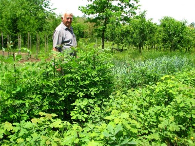 Rade Gabrić Rade Gabrić