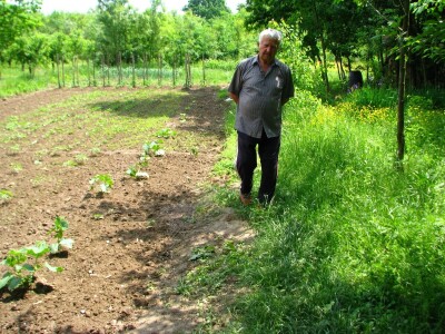 Rade Gabrić Rade Gabrić