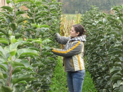 Rade u gradu, a ulažu u selo- zašto se mlade generacije agronoma nakon završenog fakulteta ne vraćaju odmah u ruralne sredine