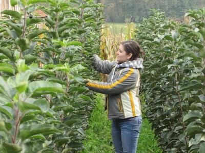 Rade u gradu, a ulažu u selo- zašto se mlade generacije agronoma nakon završenog fakulteta ne vraćaju odmah u ruralne sredine