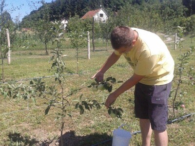 Rade u gradu, a ulažu u selo- zašto se mlade generacije agronoma nakon završenog fakulteta ne vraćaju odmah u ruralne sredine