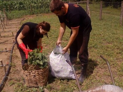 Rade u gradu, a ulažu u selo- zašto se mlade generacije agronoma nakon završenog fakulteta ne vraćaju odmah u ruralne sredine